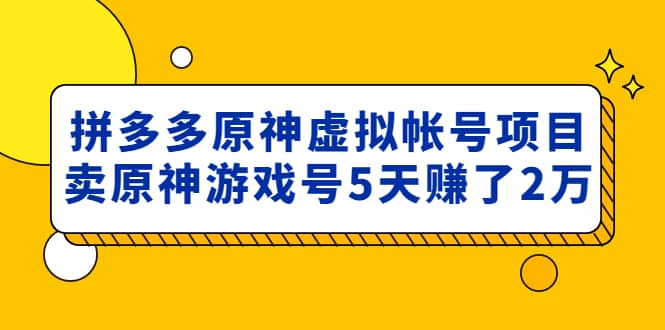 外面卖2980的拼多多原神虚拟帐号项目-PONCC-Ai时代