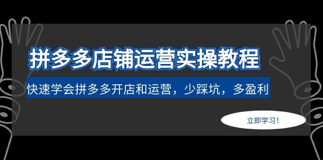 拼多多店铺运营实操教程：快速学会拼多多开店和运营，少踩坑，多盈利-PONCC-Ai时代