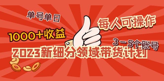 2023新细分领域带货计划：单号单日1000+收益不难，每人可操作3-5个账号-PONCC-Ai时代