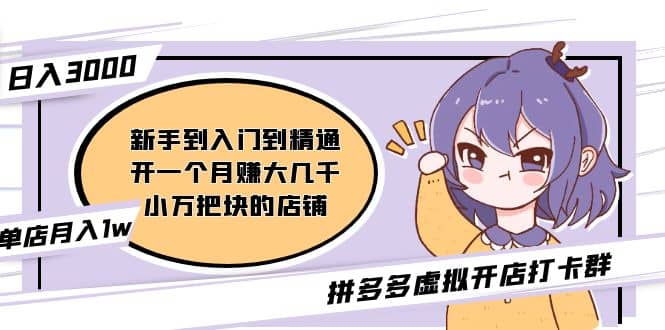 拼多多虚拟开店打卡群：新手到入门到精通-PONCC-Ai时代
