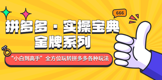 拼多多·实操宝典：金牌系列“小白到高手”带你全方位玩转拼多多各种玩法-PONCC-Ai时代