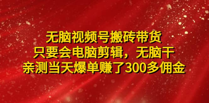 无脑视频号搬砖带货，只要会电脑剪辑，无脑干-PONCC-Ai时代