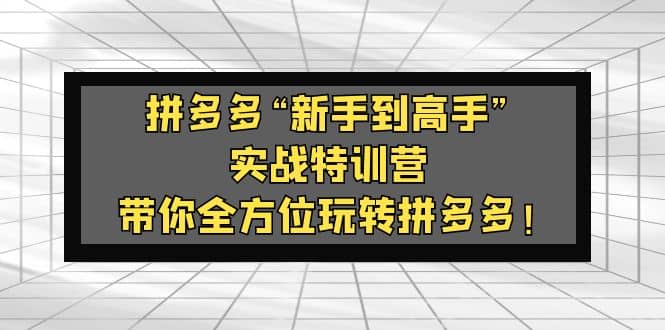 拼多多“新手到高手”实战特训营：带你全方位玩转拼多多-PONCC-Ai时代