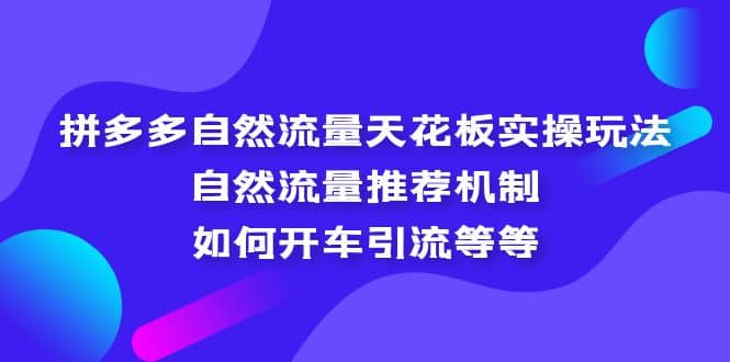 拼多多自然流量天花板实操玩法：自然流量推荐机制，如何开车引流等等-PONCC-Ai时代