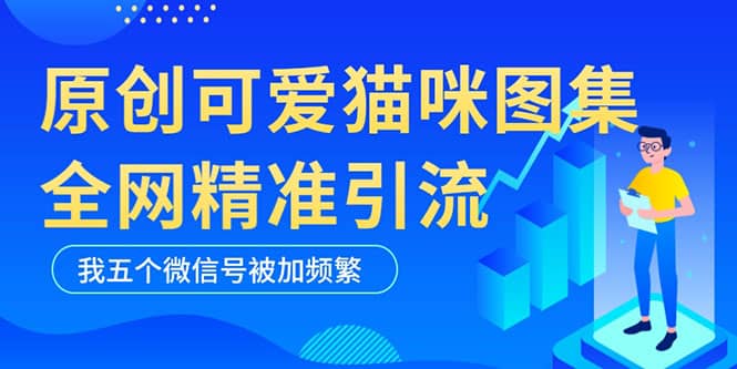 黑科技纯原创可爱猫咪图片，全网精准引流，实操5个VX号被加频繁-PONCC-Ai时代