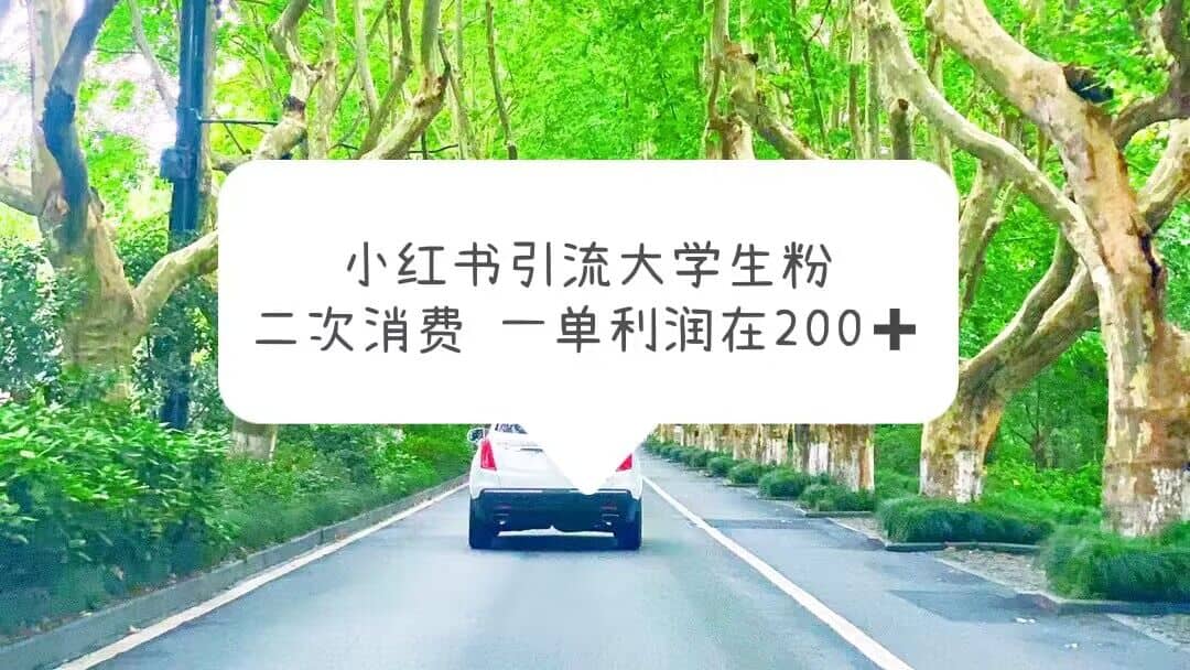小红书引流大学生粉，变现项目，一单利润在200+（教程+资源）-PONCC-Ai时代