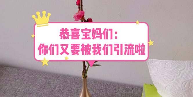 恭喜宝妈们：你们又要被我们引流了（教程+222g资料）-PONCC-Ai时代