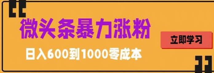 微头条暴力涨粉技巧搬运文案就能涨几万粉丝，简单0成本，日赚600-PONCC-Ai时代