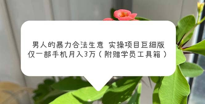 男人的暴力合法生意实操项目巨细版：仅一部手机月入3w（附赠学员工具箱）-PONCC-Ai时代