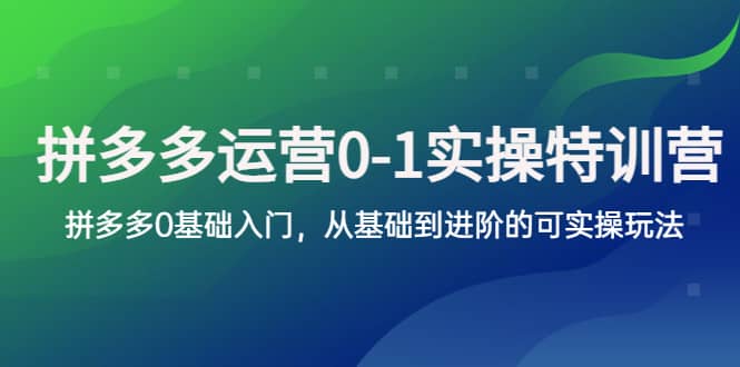 拼多多-运营0-1实操训练营，拼多多0基础入门，从基础到进阶的可实操玩法-PONCC-Ai时代