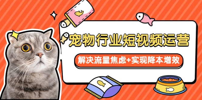 宠物/行业短视频运营 流量增长的一层窗户纸 解决流量焦虑+实现降本增效-PONCC-Ai时代