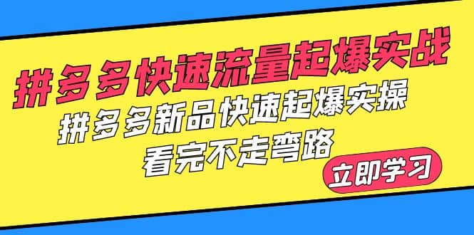 拼多多-快速流量起爆实战，拼多多新品快速起爆实操，看完不走弯路-PONCC-Ai时代