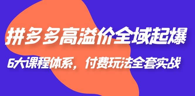 拼多多-高溢价 全域 起爆，6大课程体系，付费玩法全套实战-PONCC-Ai时代