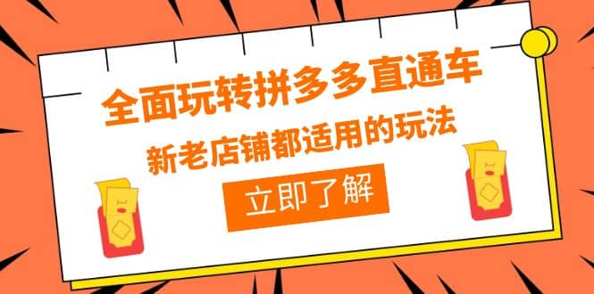 全面玩转拼多多直通车，新老店铺都适用的玩法（12节精华课）-PONCC-Ai时代