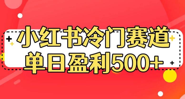小红书冷门赛道，单日盈利500+【揭秘】-PONCC-Ai时代