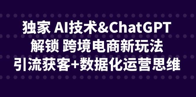 独家 AI技术ChatGPT解锁 跨境电商新玩法，引流获客+数据化运营思维-PONCC-Ai时代