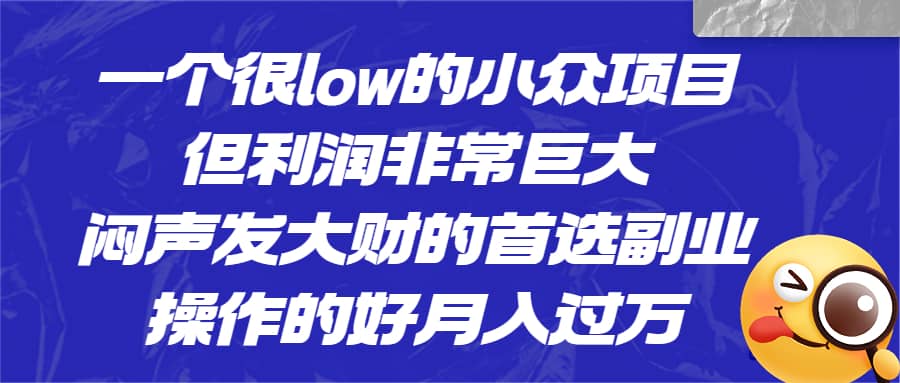 一个很low的小众项目，但利润非常巨大，闷声发大财的首选副业，月入过万-PONCC-Ai时代