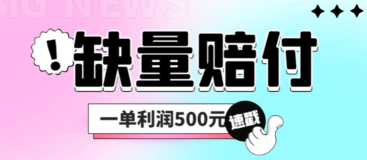 最新多平台缺量赔付玩法，简单操作一单利润500元-PONCC-Ai时代