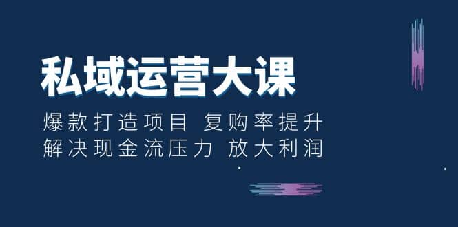 私域运营大课：爆款打造项目 复购率提升 解决现金流压力 放大利润-PONCC-Ai时代