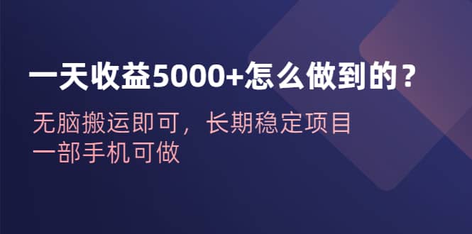 一天收益5000+怎么做到的？无脑搬运即可，长期稳定项目，一部手机可做-PONCC-Ai时代