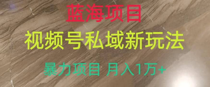蓝海项目，视频号私域新玩法，暴力项目月入1万+【揭秘】-PONCC-Ai时代