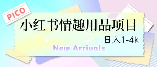 最新小红书情趣用品项目，日入1-4k-PONCC-Ai时代