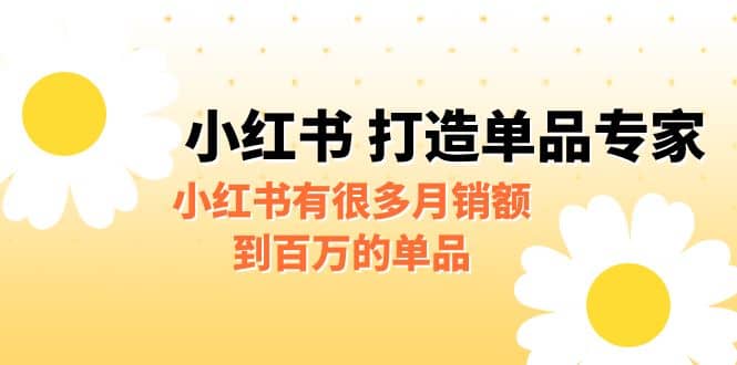 某公众号付费文章《小红书 打造单品专家》小红书有很多月销额到百万的单品-PONCC-Ai时代