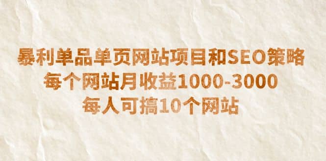 暴利单品单页网站项目和SEO策略 每个网站月收益1000-3000 每人可搞10个-PONCC-Ai时代