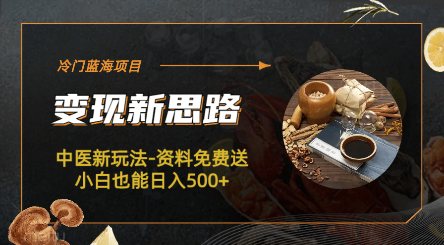 冷门蓝海项目-中医新玩法-冷门蓝海项目-中医新玩法-资料免费送小白也能日入500+500+-PONCC-Ai时代