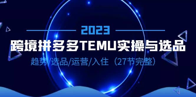 2023跨境·拼多多·TEMU实操与选品，趋势·选品·运营·入住（27节完整）-PONCC-Ai时代