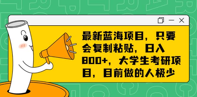 最新蓝海项目，只要会复制粘贴，日入800+，大学生考研项目，目前做的人极少-PONCC-Ai时代