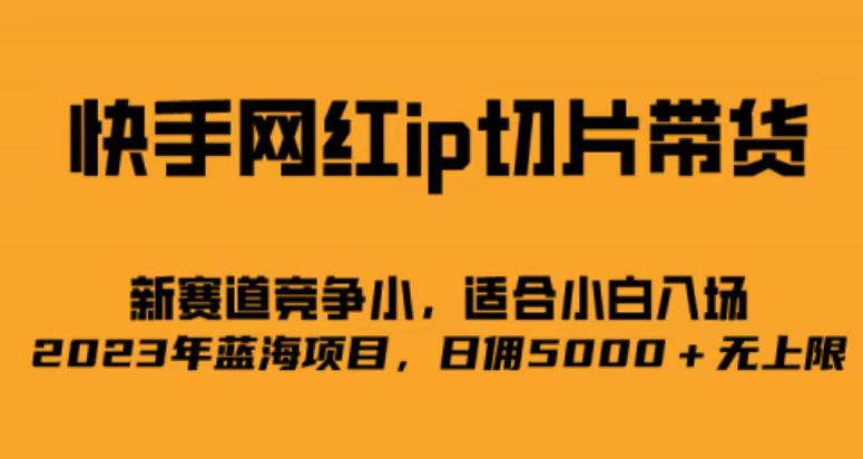 快手网红ip切片新赛道，竞争小事，适合小白 2023蓝海项目-PONCC-Ai时代