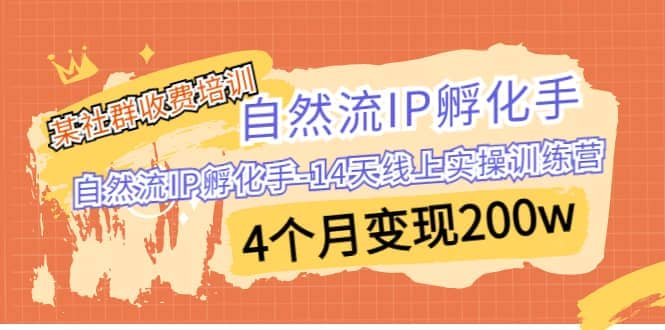 某社群收费培训：自然流IP 孵化手-14天线上实操训练营 4个月变现200w-PONCC-Ai时代