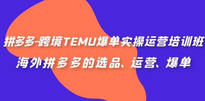 拼多多-跨境TEMU爆单实操运营培训班，海外拼多多的选品、运营、爆单-PONCC-Ai时代