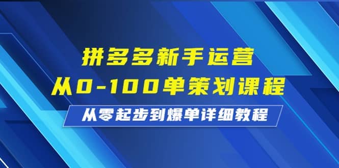 拼多多新手运营从0-100单策划课程，从零起步到爆单详细教程-PONCC-Ai时代