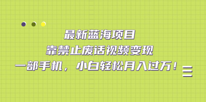 最新蓝海项目，靠禁止废话视频变现，一部手机，小白轻松月入过万！-PONCC-Ai时代