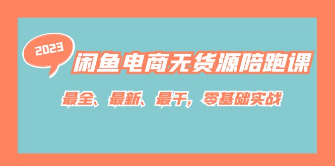 闲鱼电商无货源陪跑课，最全、最新、最干，零基础实战！-PONCC-Ai时代