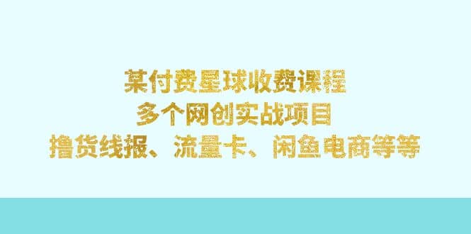 某付费星球课程：多个网创实战项目，撸货线报、流量卡、闲鱼电商等等-PONCC-Ai时代