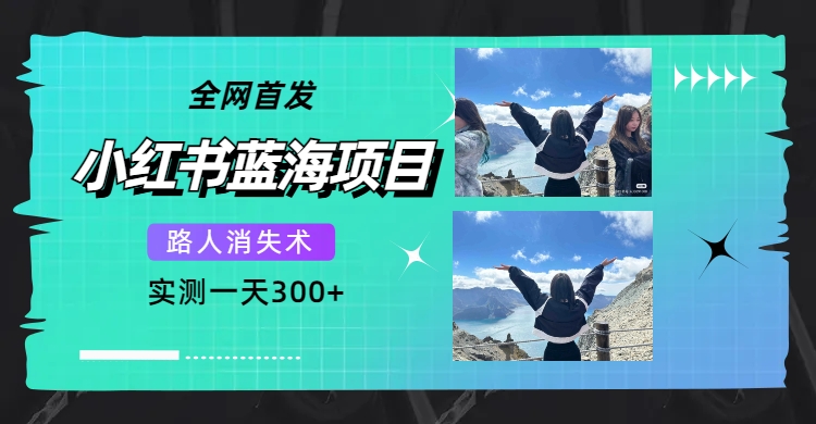 全网首发，小红书蓝海项目，路人消失术，实测一天300+（教程+工具）-PONCC-Ai时代