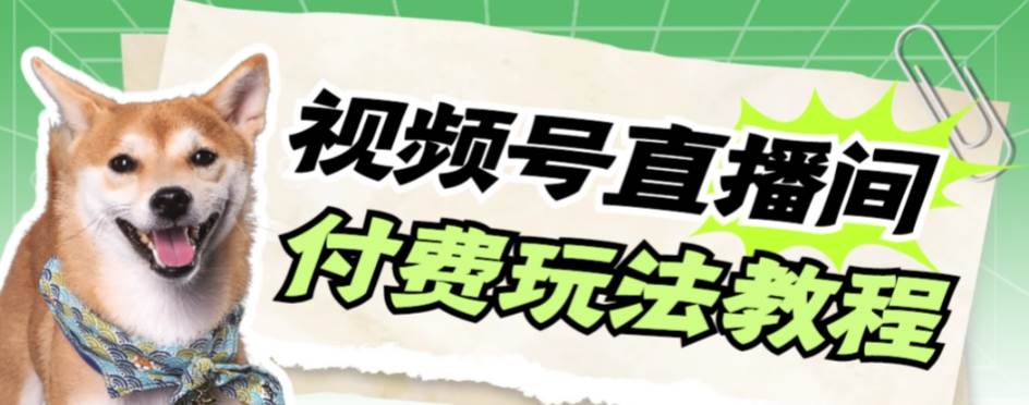 视频号美女付费无人直播，轻松日入500+【详细玩-PONCC-Ai时代