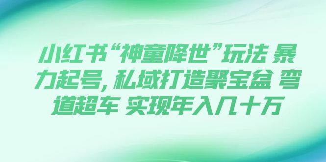 小红书“神童降世”玩法 暴力起号,私域打造聚宝盆 弯道超车 实现年入几十万-PONCC-Ai时代