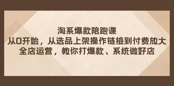 淘系爆款陪跑课 从选品上架操作链接到付费放大 全店运营 打爆款 系统做好店-PONCC-Ai时代