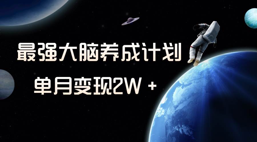 冷门虚拟项目，最强大脑养成计划，一个月变现2W＋-PONCC-Ai时代