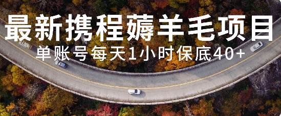最新携程薅羊毛项目，单账号每天1小时保底收益40+，可矩阵操作-PONCC-Ai时代