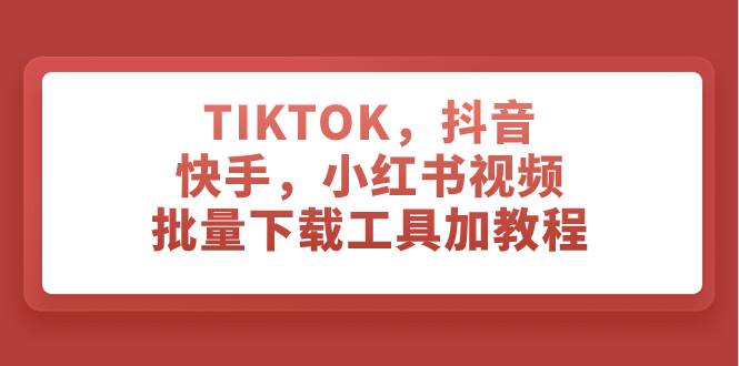 TIKTOK，抖音，快手，小红书视频批量下载工具加教程-PONCC-Ai时代