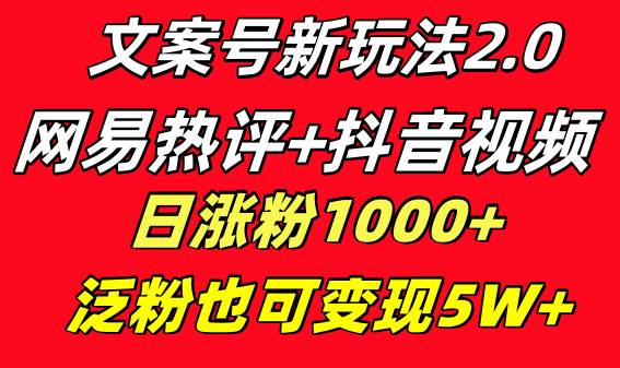 文案号新玩法 网易热评+抖音文案 一天涨粉1000+ 多种变现模式 泛粉也可变现-PONCC-Ai时代