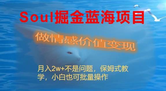 Soul掘金蓝海项目细分赛道，做情感价值变现，月入2w+不是问题-PONCC-Ai时代