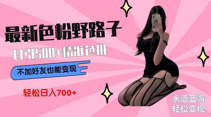最新色粉变现野路子，日引500+老色批 可不加好友直接变现 小白轻松日入700+-PONCC-Ai时代