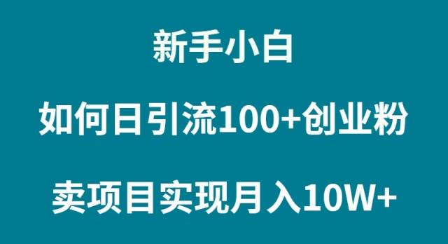 新手小白如何通过卖项目实现月入10W+-PONCC-Ai时代