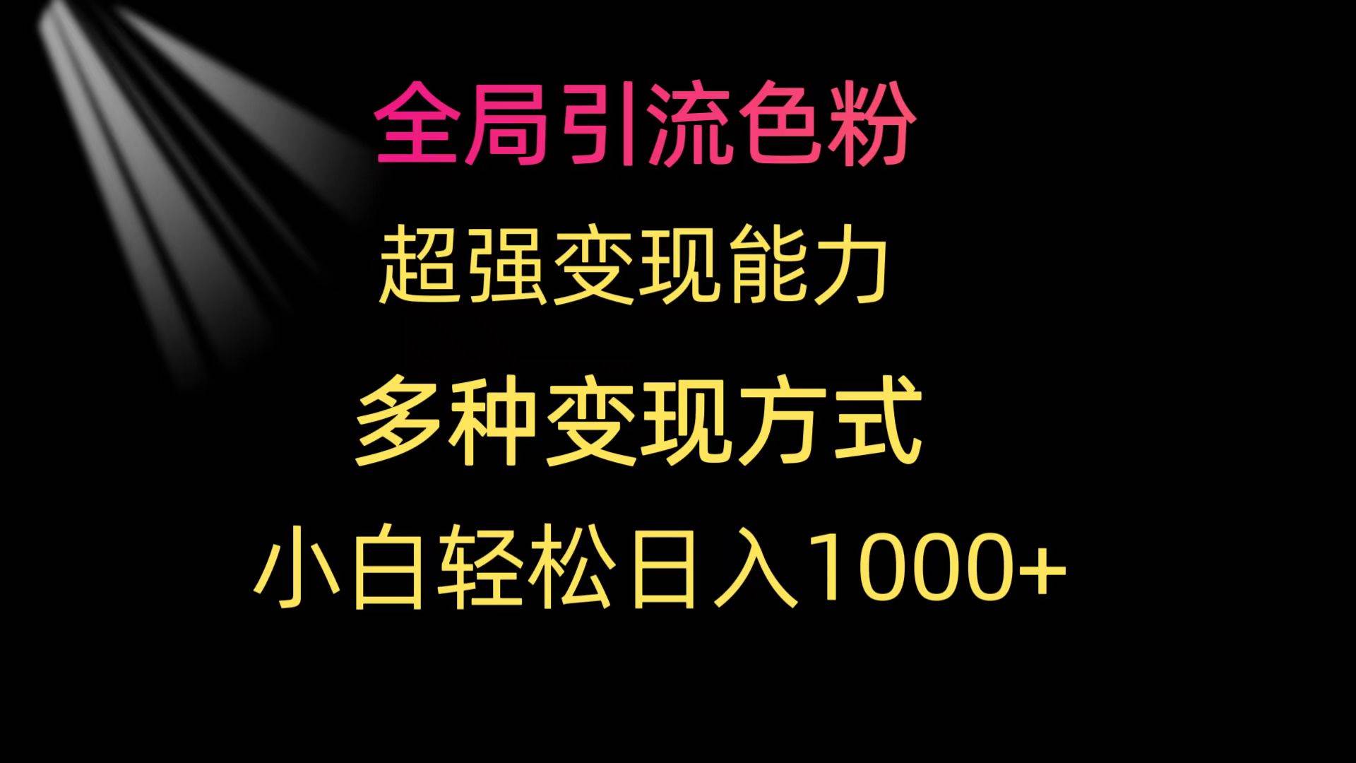 全局引流色粉 超强变现能力 多种变现方式 小白轻松日入1000+-PONCC-Ai时代